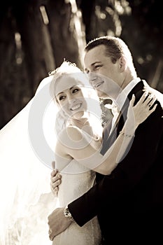 Beautiful young newly wed couple leaning against tree trunk in forest