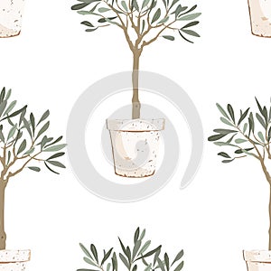 Beautiful young potted olive tree seamless pattern. Vector illustration. Mediterranean background.