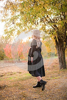 Beautiful young pregnant woman with long blond hair in autumn park in sunny weather