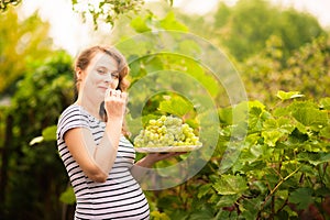 A beautiful young pregnant woman is standing in the summer near a vine grape