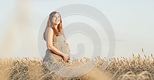 Beautiful young pregnant woman walks on wheat field at sunset, expectant mother with relax in nature stroking her belly with hand