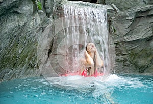 beautiful young sexy blonde woman in pink Bikini enjoying the rippling splashing water of the waterfall in the Spa Wellness pool