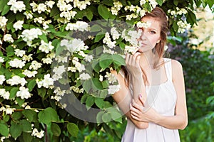 Beautiful young elegant girl in a white dress standing in the garden near a tree with Jasmine