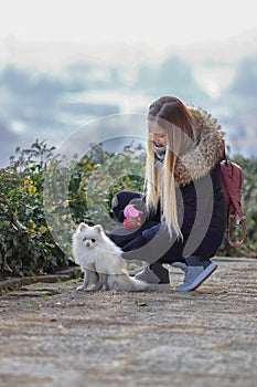 Beautiful young smiling girl strolls with small white dog. German dwarf Spitz. Pomeranian.