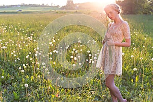 Beautiful young sweet girl in a white dress with hair on the head oblique walks in a field at sunset