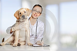 Beautiful young veterinarian with a dog on a white