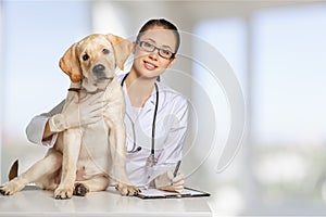 Beautiful young veterinarian with a dog on a white photo