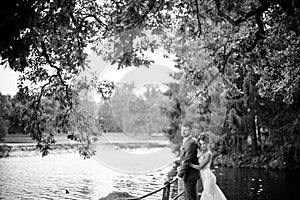 Beautiful young wedding couple, bride and groom posing on lake background