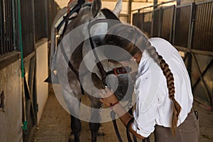 Beautiful young woman adjusting the fillet of her horse's saddle inside a stable. Concept horse riding, animals, saddle,