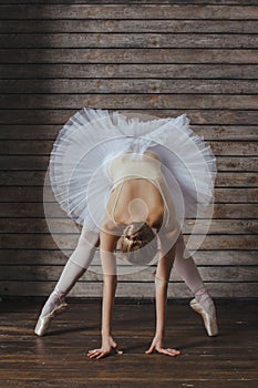 Beautiful Young Woman Ballerina