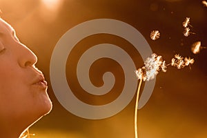 Beautiful young woman is blowing dandelion, evening sun