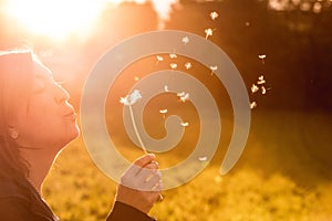 Beautiful young woman is blowing dandelion, evening sun