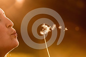 Beautiful young woman is blowing dandelion, evening sun