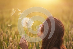 Beautiful young woman blows dandelion in a wheat field in the summer sunset. Beauty and summer concept