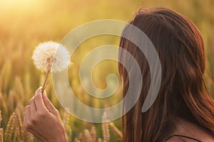 Beautiful young woman blows dandelion in a wheat field in the summer sunset. Beauty and summer concept