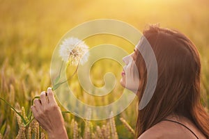 Beautiful young woman blows dandelion in a wheat field in the summer sunset. Beauty and summer concept