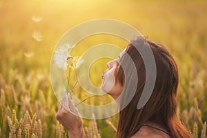 Beautiful young woman blows dandelion in a wheat field in the summer sunset. Beauty and summer concept