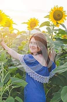 Beautiful young woman in a blue dress in a field of sunflowers at sunset