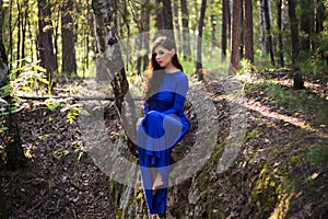 Beautiful, young woman in a blue dress is sitting near a tree over a cliff, against a forest background.