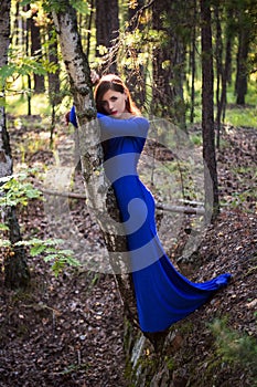 Beautiful, young woman in a blue dress stands near a tree over a cliff, against a forest background.