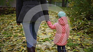 A Beautiful young woman with a child is walking in an autumn park. View from the Back . A happy mother with a little