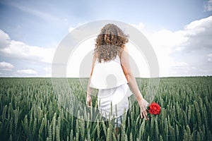 A Beautiful Young Woman In White Dress And Red Rose In Hand Standing Back In The Wheat Field Against Cloudy Sky.