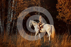 Beautiful young woman in English hunter wear style with Knabstrupper horse