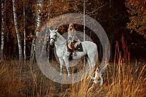 Beautiful young woman in English hunter wear style with Knabstrupper horse