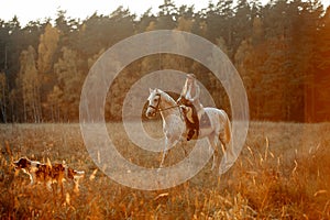 Beautiful young woman in English hunter wear style with Knabstrupper horse