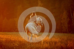 Beautiful young woman in English hunter wear style with Knabstrupper horse