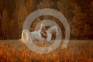 Beautiful young woman in English hunter wear style with Knabstrupper horse