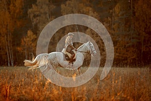 Beautiful young woman in English hunter wear style with Knabstrupper horse