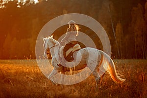 Beautiful young woman in English hunter wear style with Knabstrupper horse