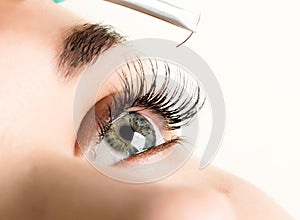 Beautiful young woman eyelash extension. Woman eye with long eyelashes. Beauty salon concept