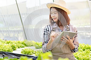 Beautiful young woman farmer researching hydroponics, organic vegetables