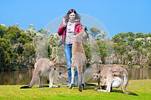 Beautiful young woman feeding kangaroos