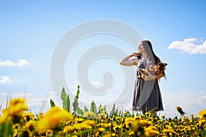 Beautiful young woman on a field with green grass and yellow dandelion flowers in a sunny day. Girl on nature with yellow flowers