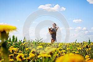 Beautiful young woman on a field with green grass and yellow dandelion flowers in a sunny day. Girl on nature with yellow flowers