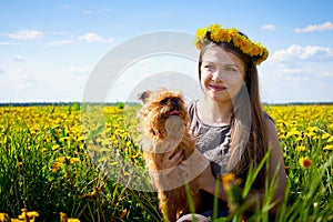 Beautiful young woman on a field with green grass and yellow dandelion flowers in a sunny day. Girl with small dog on nature