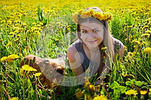 Beautiful young woman on a field with green grass and yellow dandelion flowers in a sunny day. Girl with small dog on nature