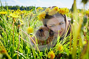 Beautiful young woman on a field with green grass and yellow dandelion flowers in a sunny day. Girl with small dog on nature