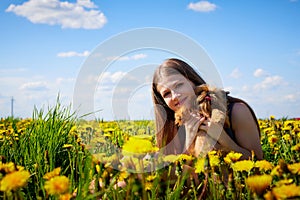 Beautiful young woman on a field with green grass and yellow dandelion flowers in a sunny day. Girl with small dog on nature