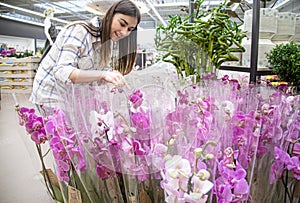 Beautiful young woman in a flower shop and choosing flowers