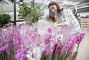 Beautiful young woman in a flower shop and choosing flowers