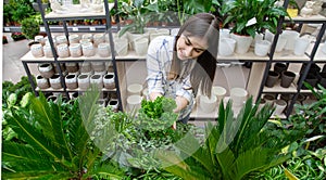 Beautiful young woman in a flower shop and choosing flowers