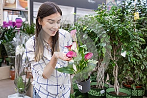Beautiful young woman in a flower shop and choosing flowers