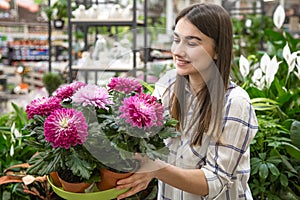 Beautiful young woman in a flower shop and choosing flowers