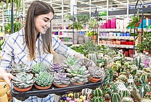 Beautiful young woman in a flower shop and choosing flowers