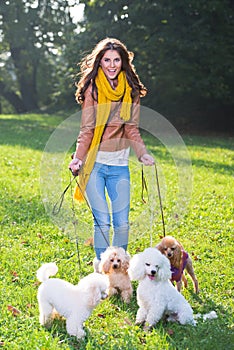 Beautiful young woman with four poodles