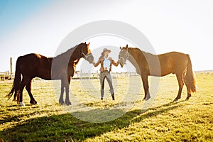 Beautiful young woman in a hat and gloves with two broun horses in a field on a sunset. Horseback riding
